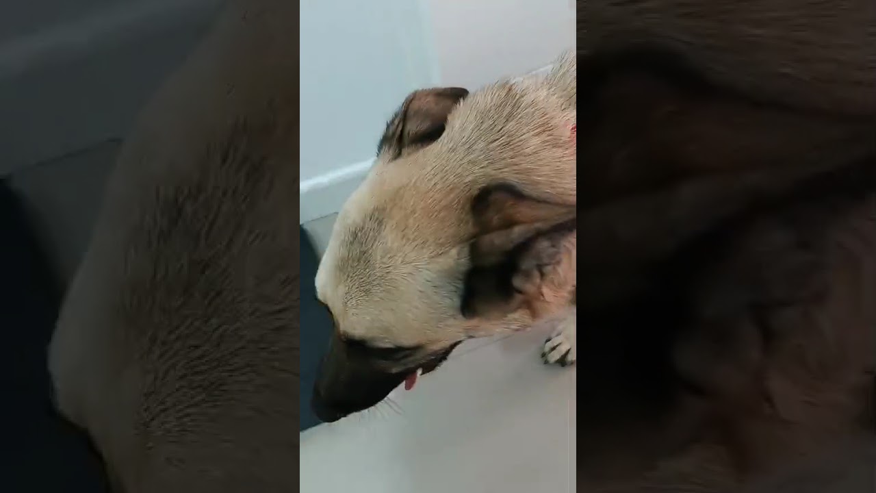 Youtube Vorschau - Video ID -UgeRrbh6Rs