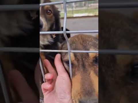 Youtube Vorschau - Video ID 02Zu2TWEdpc