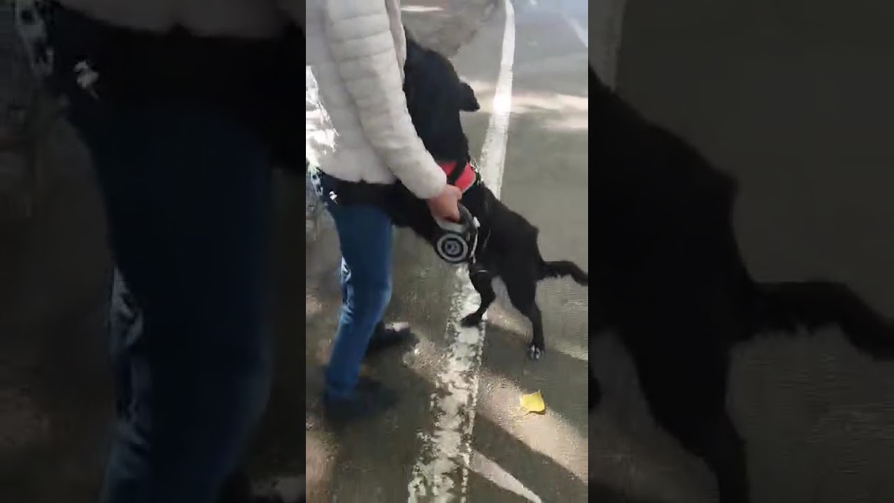 Youtube Vorschau - Video ID 0Ap5z2-j5kM