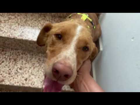 Youtube Vorschau - Video ID 0O7gwZ6z3pY