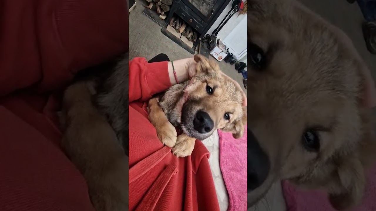 Youtube Vorschau - Video ID 0XyDei7heqI