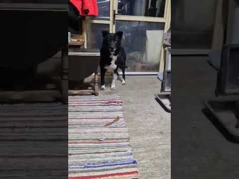 Youtube Vorschau - Video ID 19nxnNAtZj0