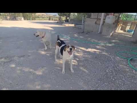 Youtube Vorschau - Video ID 1HHzoocn6gw