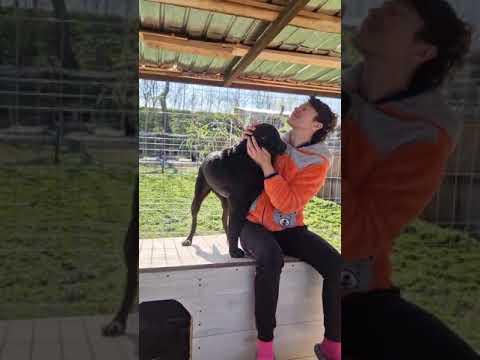 Youtube Vorschau - Video ID 1SjYEul0pFs