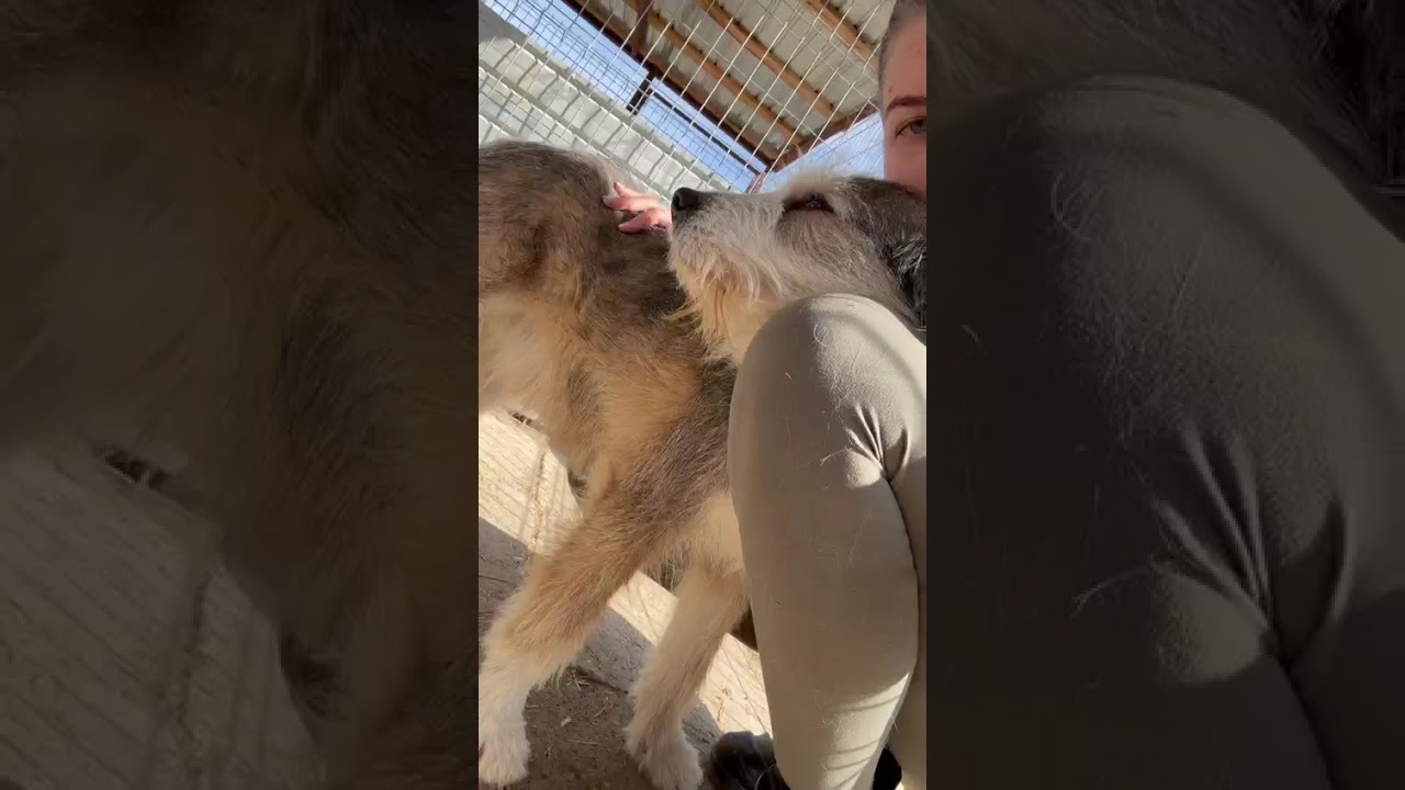 Youtube Vorschau - Video ID 1l7BMUrLOfI