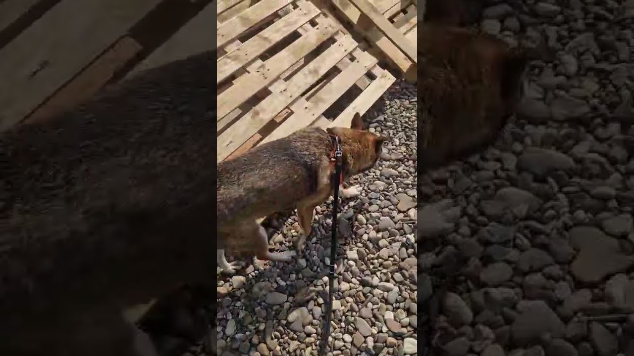 Youtube Vorschau - Video ID 2Uj5syXYHa0