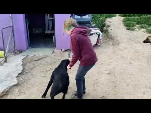 Youtube Vorschau - Video ID 2WdkmCiLKlw