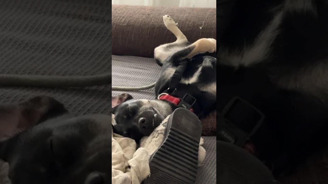 Youtube Vorschau - Video ID 2gRfVvhQ7uA