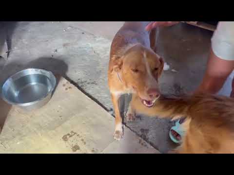 Youtube Vorschau - Video ID 2nyTsdWe8gw