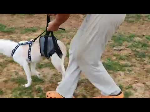 Youtube Vorschau - Video ID 31uvm5YNbz4