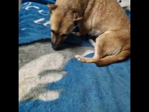 Youtube Vorschau - Video ID 35D0HkDdrqs