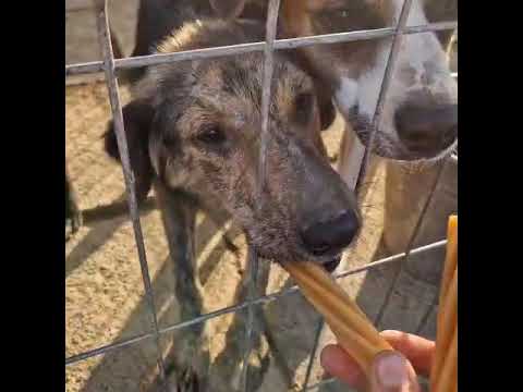 Youtube Vorschau - Video ID 3ph7mLyx-Fo