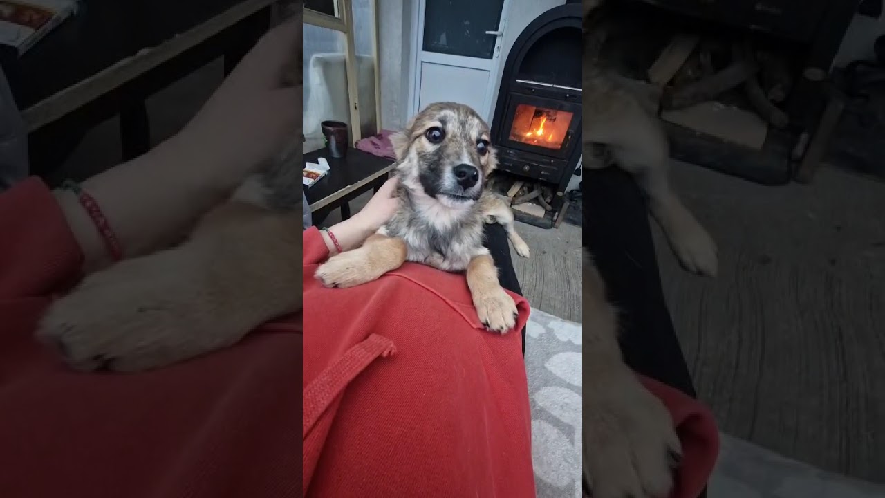 Youtube Vorschau - Video ID 45yIsOEvMWU