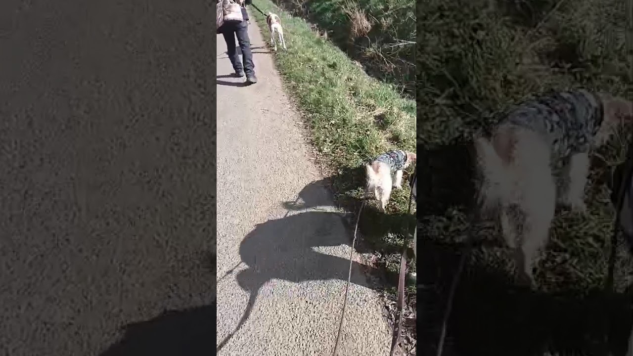 Youtube Vorschau - Video ID 4DrmtUIH-P8