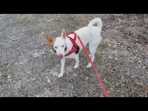 Youtube Vorschau - Video ID 4hQblYuIf6E