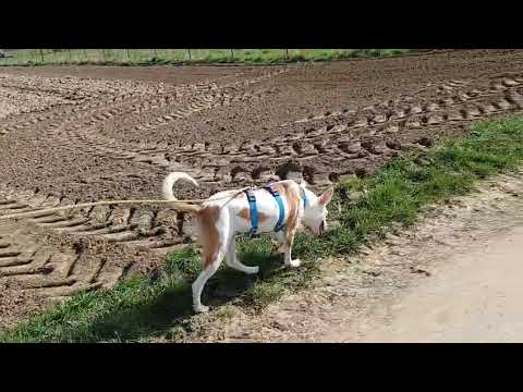 Youtube Vorschau - Video ID 52Pw-Op0aFI