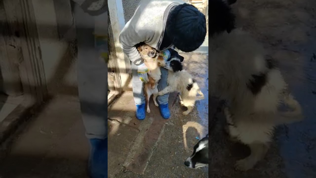 Youtube Vorschau - Video ID 55_roTefZ_c