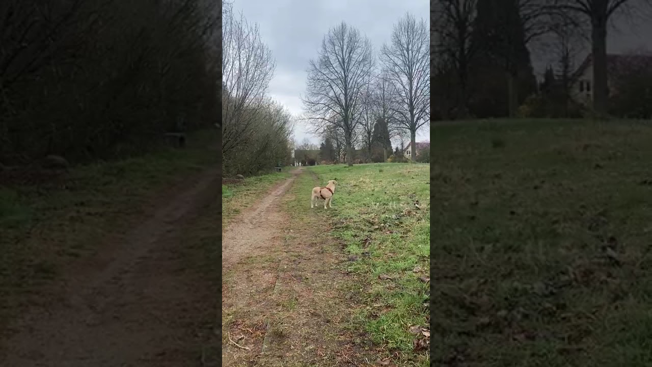 Youtube Vorschau - Video ID 57oIXzHLxHo