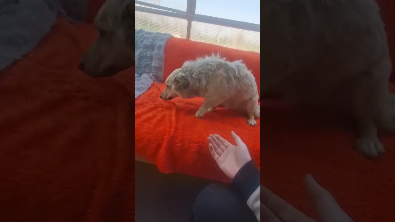 Youtube Vorschau - Video ID 5Acale95Srk