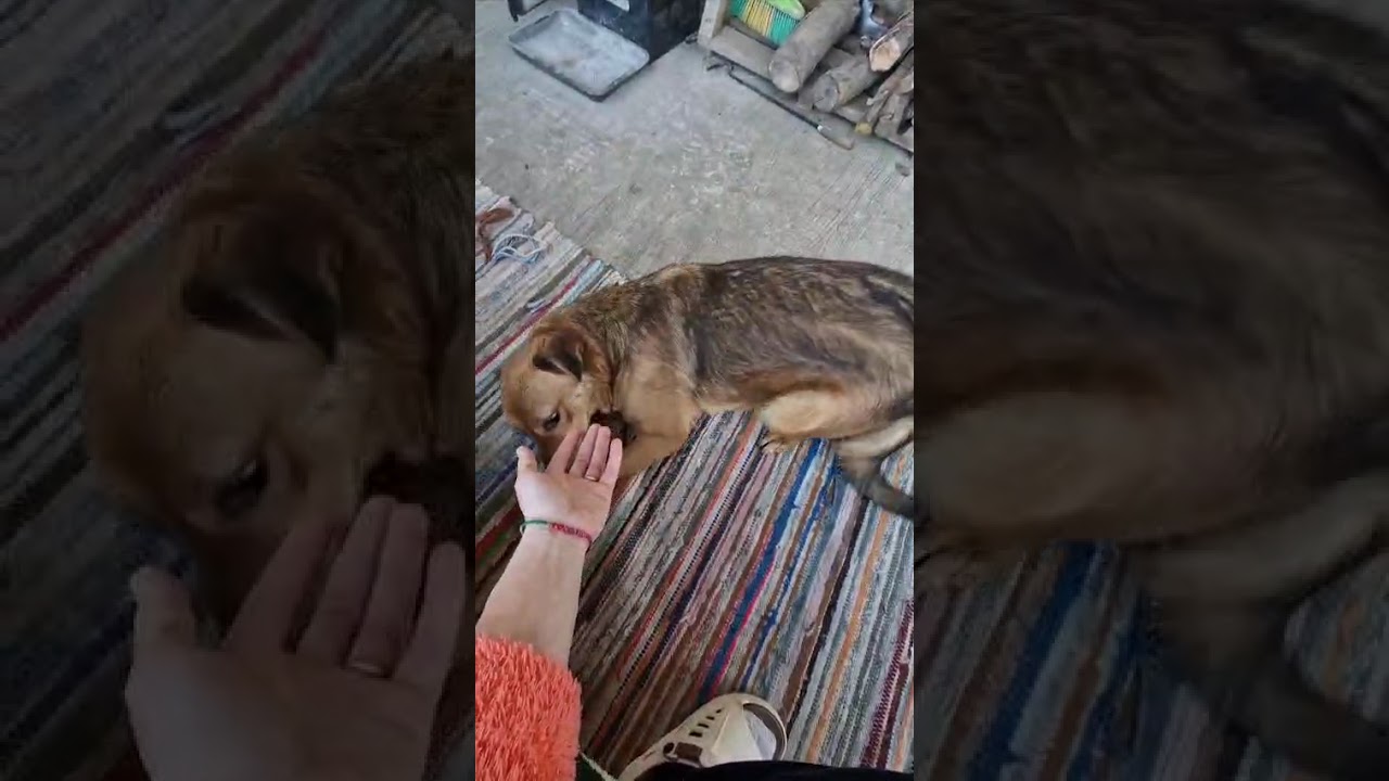 Youtube Vorschau - Video ID 5IOWeIH1V64