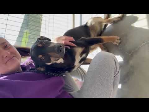 Youtube Vorschau - Video ID 5PCWqOjpedo