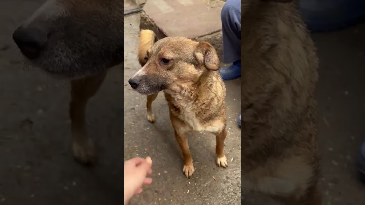 Youtube Vorschau - Video ID 5T4lRjk7Bhc