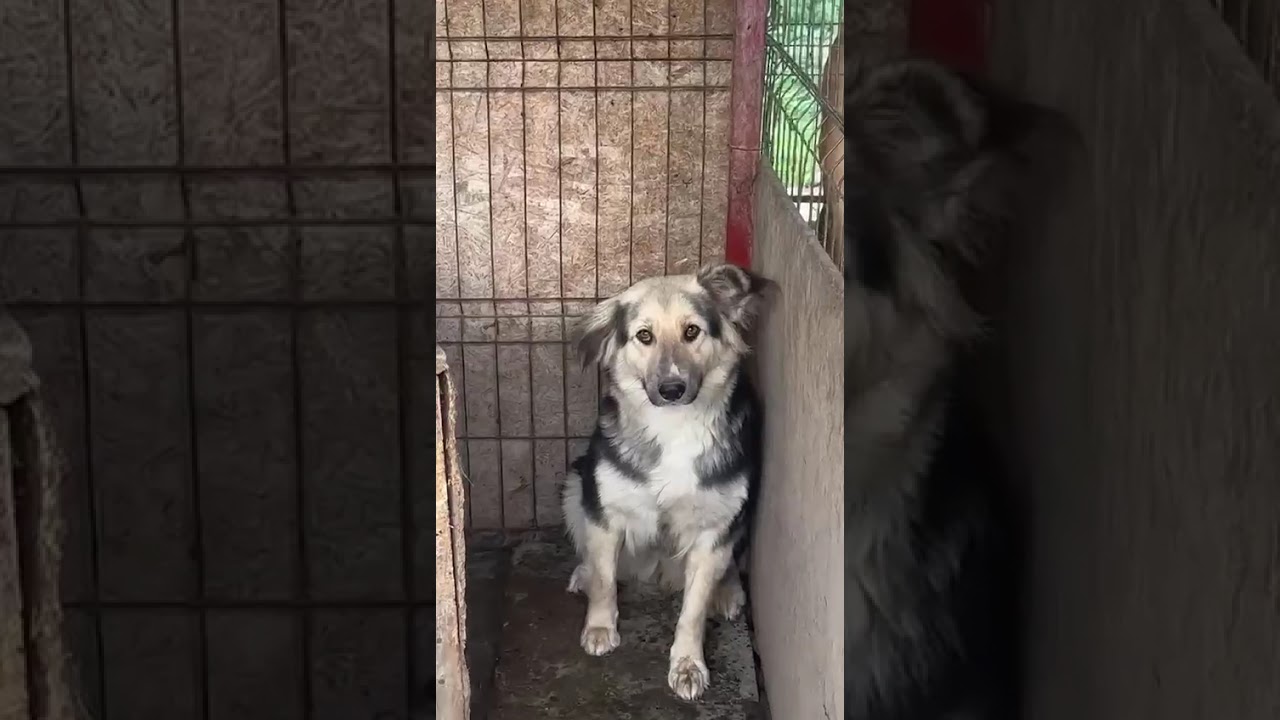 Youtube Vorschau - Video ID 5jX1MwDaA_M