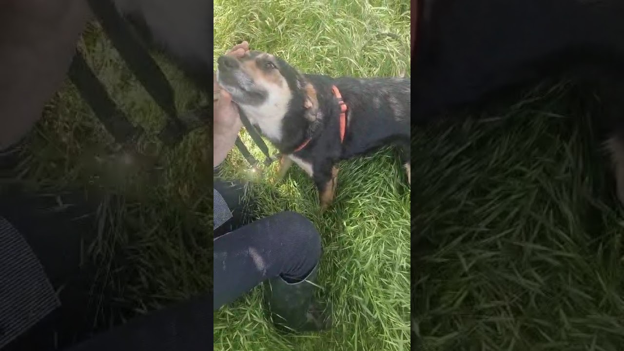 Youtube Vorschau - Video ID 6fLrXbrXEGw