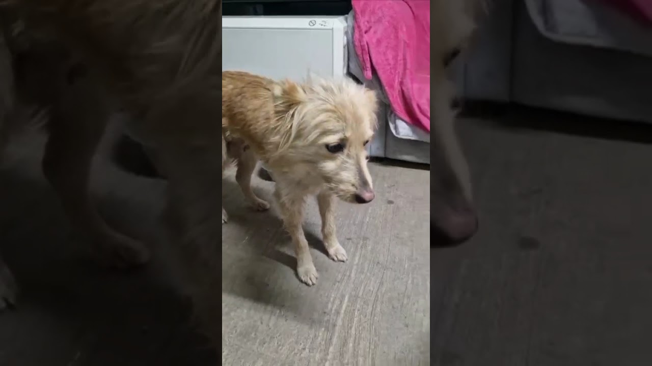 Youtube Vorschau - Video ID 6iUGZquZxfY