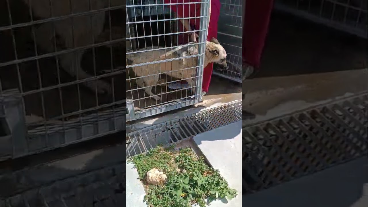 Youtube Vorschau - Video ID 7G8J51bCcRw