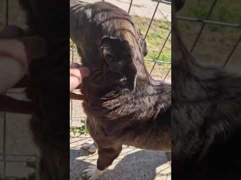 Youtube Vorschau - Video ID 7uncoVyljlQ