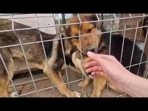 Youtube Vorschau - Video ID 8NlG7F9XavA