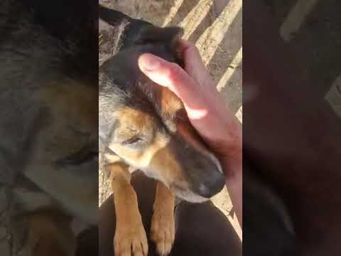 Youtube Vorschau - Video ID 8Pr0Bt1Gl3M