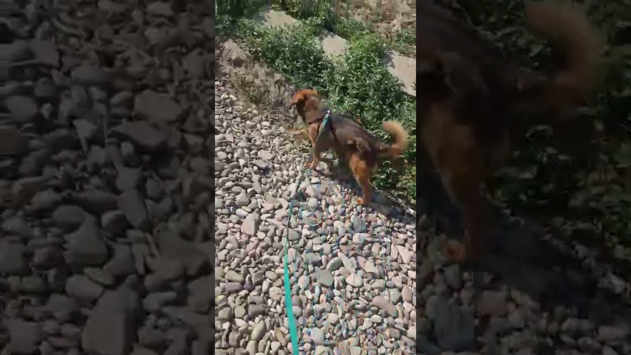 Youtube Vorschau - Video ID 9A2q8FczjiU