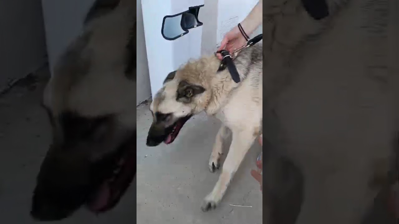 Youtube Vorschau - Video ID 9ay9qFEnsO8