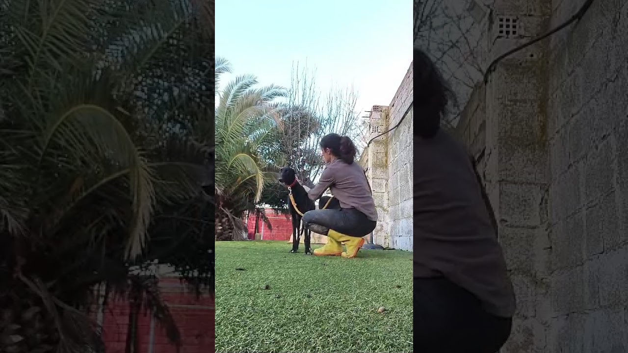 Youtube Vorschau - Video ID 9oj5xrssly0