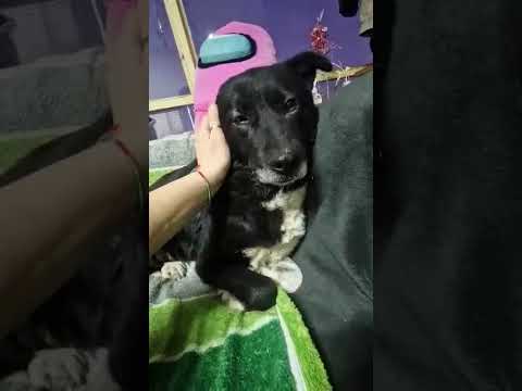 Youtube Vorschau - Video ID A8OFMK5YC2M