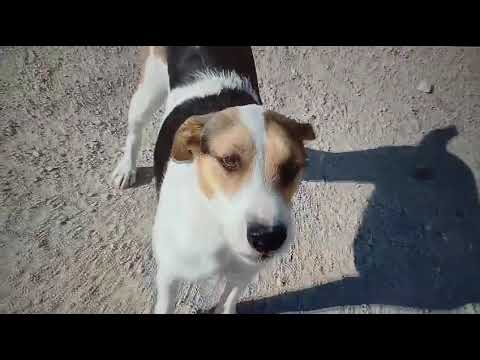 Youtube Vorschau - Video ID AKbKyEXQyqU