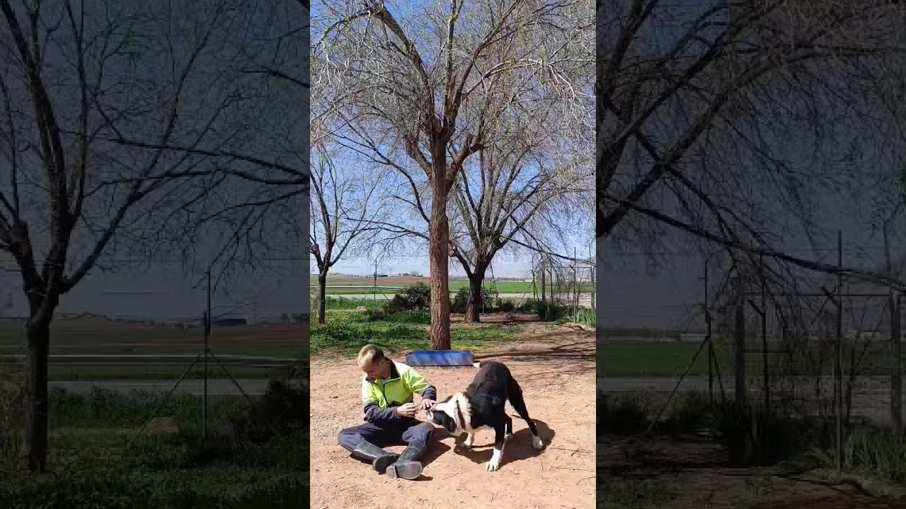 Youtube Vorschau - Video ID B3hiDuy3mPE