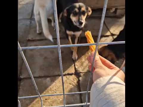 Youtube Vorschau - Video ID B8WZgtkh8aA