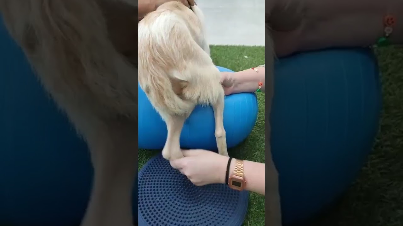 Youtube Vorschau - Video ID C44pNC_B0JA