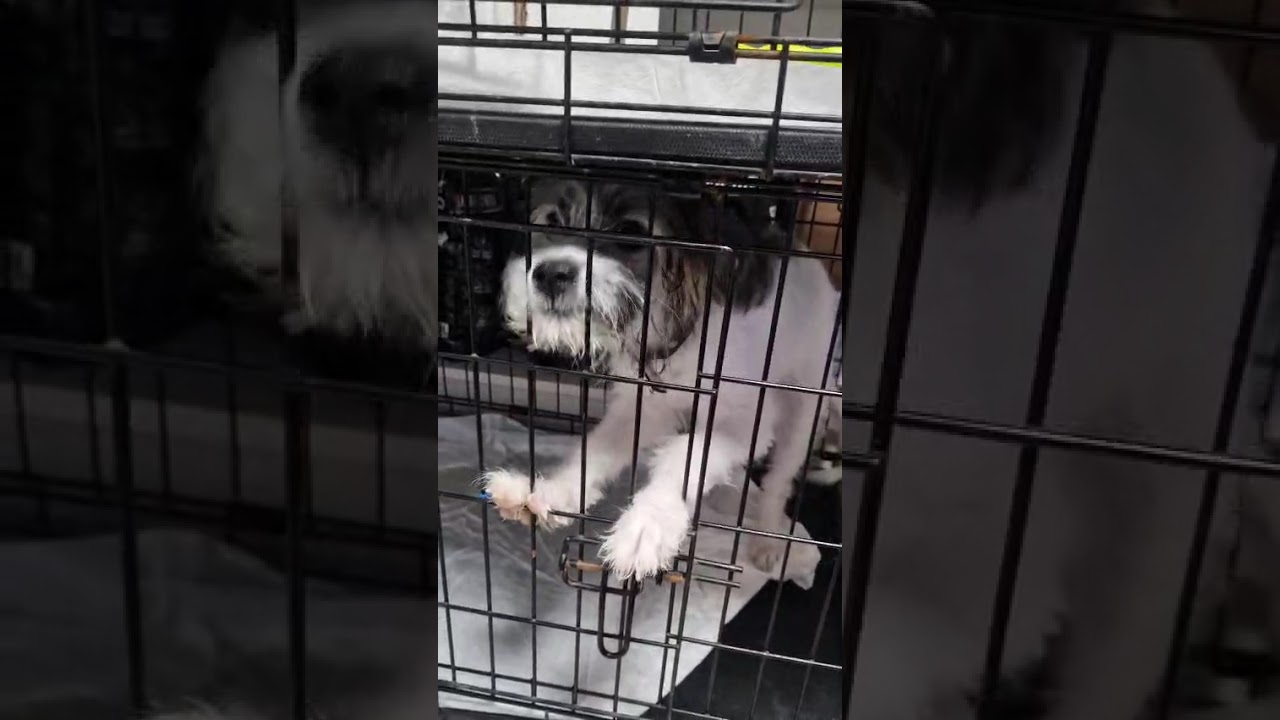 Youtube Vorschau - Video ID CB6usrEt3Rc