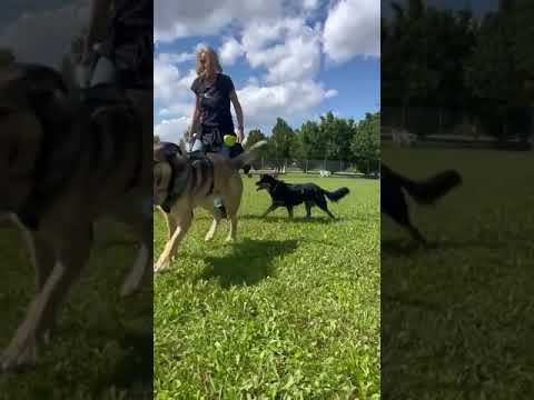 Youtube Vorschau - Video ID CaXNONiZa2Y