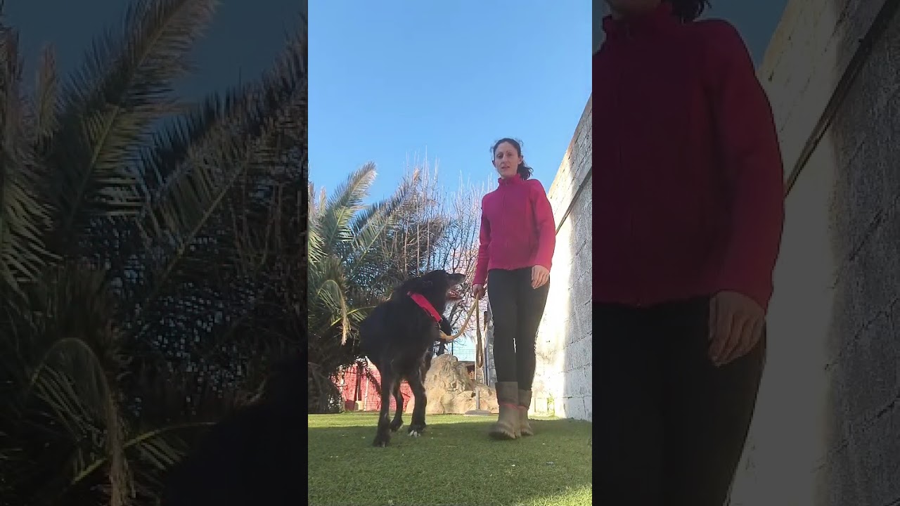 Youtube Vorschau - Video ID DNPUh7-oPWs