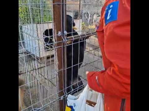 Youtube Vorschau - Video ID DgoT-xR6Uz8