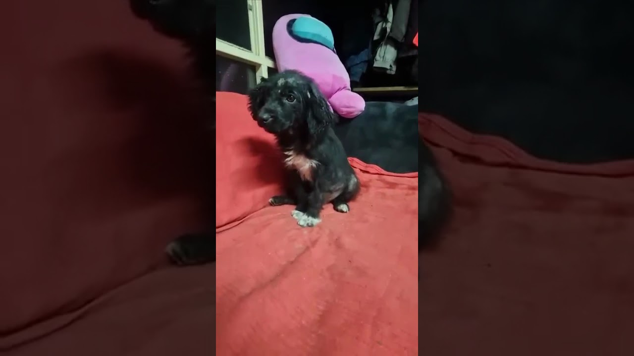 Youtube Vorschau - Video ID E4QOMYnYU9s