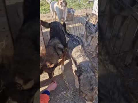 Youtube Vorschau - Video ID E5w3hVyOn40