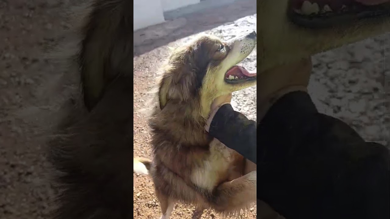 Youtube Vorschau - Video ID EQzs7Dyg3qw