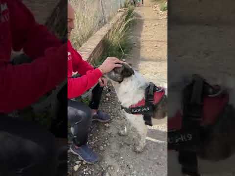 Youtube Vorschau - Video ID EkDurBxvrf0