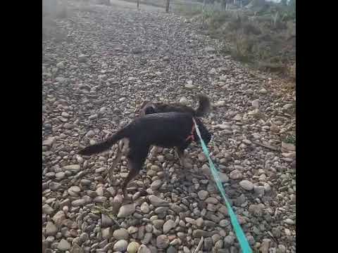 Youtube Vorschau - Video ID Enl2b6mVbOw